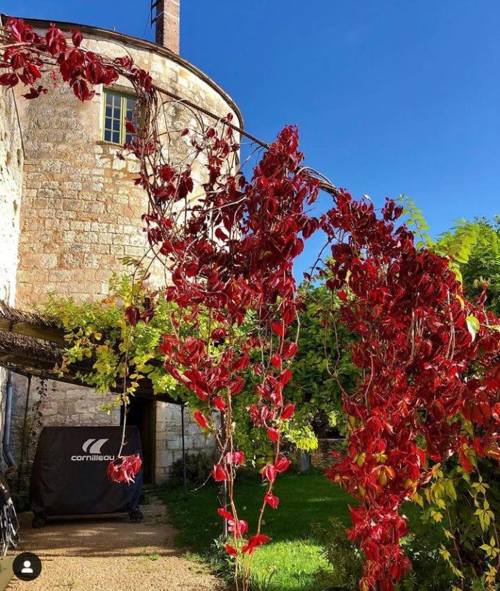 Cote-Serein La Privilege De La Tour Madame Noyers-sur-Serein Buitenkant foto